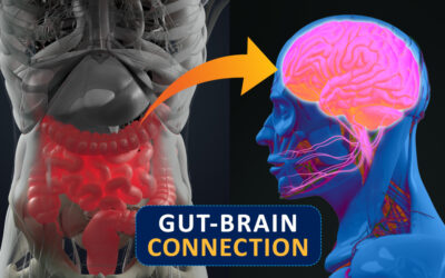 Gut and Brain Health – Interview with Leah From Freedom and Coffee